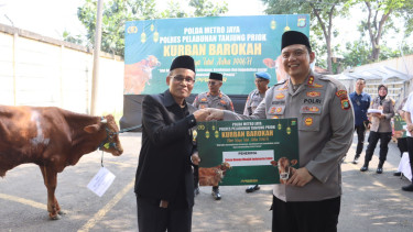 Kapolres Pelabuhan Tanjung Priok AKBP Martuasah Tobing menyerahkan hewan kurban