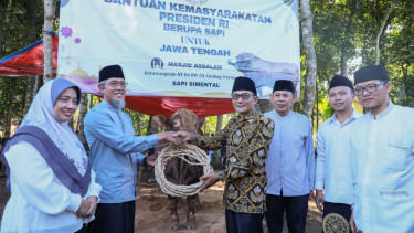 Sapi Kurban Presiden Republik Indonesia
