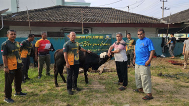 VIVA Militer: Dandenpom II/3 Lampung pimpin pembagian paket daging kurban