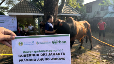 Pesantren Darunnajah terima kurban dari Pramono Anung