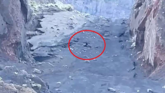 Visual pendaki asal Brasil terjatuh di jurang saat menuju puncak Gunung Rinjani