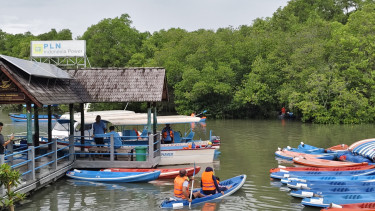 Ekowisata Mangrove Batu Lumbang di Bali