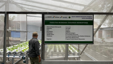 Rumah hidroponik Pertamina di Hutan Lestari Mahakam