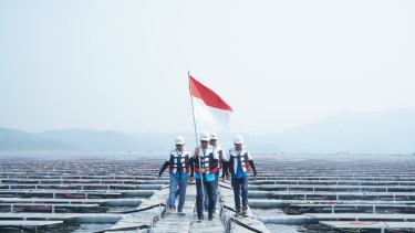 Green Financing BRI Terus Tumbuh Capai Rp89,9 Triliun