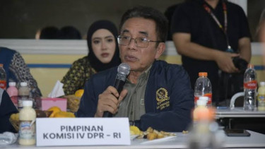 Wakil Ketua Komisi IV DPR Panggah Susanto.