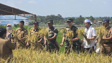 Marsekal Madya TNI  Samsul Rizal,