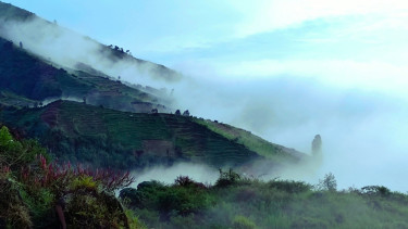 Cuaca dingin di pegunungan Dieng, Wonosobo