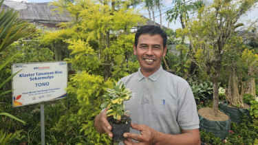 Klaster usaha tanaman hias binaan BRI 
