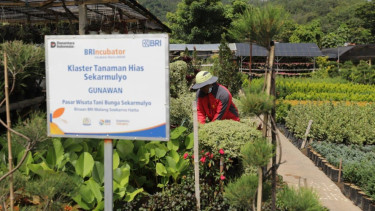 BRI berdayakan klaster usaha melalui pembiayaan dan literasi keuangan