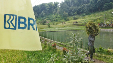 BRI salurkan KUR Rp83,38 triliun