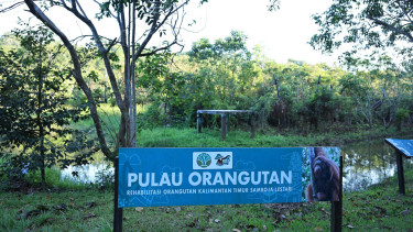 Pertamina mengembangkan Pusat Rehabilitasi orang utan Samboja Lestari