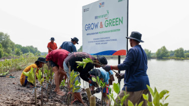 BRI Menanam- Grow & Green