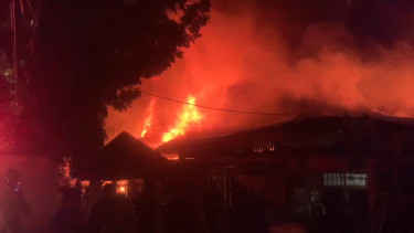 Kebakaran taman puring