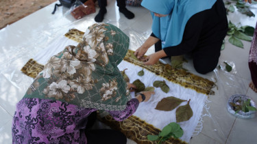 Ecosalam.