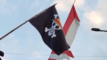 Ilustrasi bendera one piece