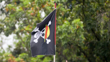 Bendera One Piece