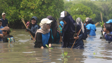 Penanaman mangrove oleh Mahasiswa UPER bersama Pertamina Foundation