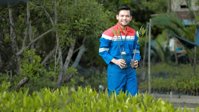 Pertamina dan KKP mengembangkan Kawasan Mangrove Nasional Kamal Muara di Jakarta