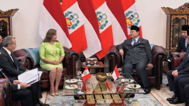 Pertemuan Presiden Prabowo dengan Presiden Peru Dina Erlina Boluarte Zegarra