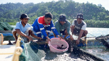 Pertamina Patra Niaga