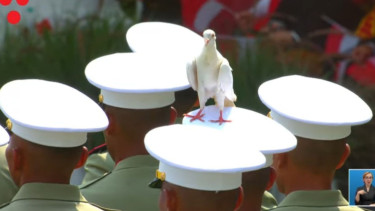 Burung Merpati Hinggap di Pasukan Upacara HUT ke-80 RI