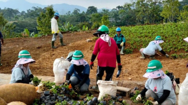 Warga Kampung Lemah Neundeut, Desa Sukagalih, Kecamatan Megamendung, Bogor