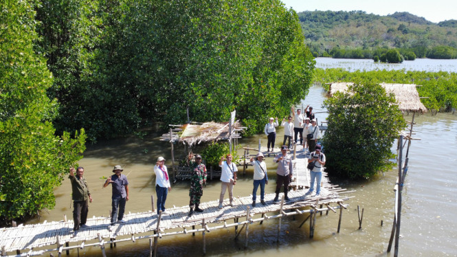 Budidaya mangrove