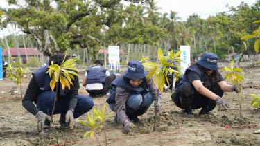 PNM menanam total 343.451 pohon atau setara dengan 8.900 ton CO2