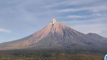 Gunung Semeru erupsi dengan tinggi letusan 700 meter di atas puncak