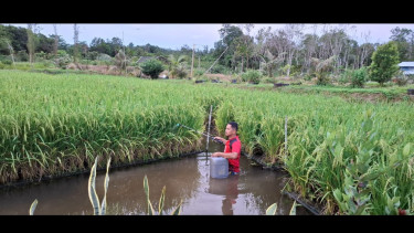 Pertamina memberikan apresiasi lewat program PFmuda 2025