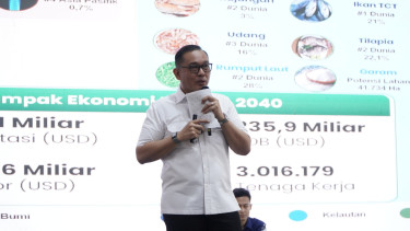 Wakil Menteri Investasi dan Hilirisasi/ BKPM, Todotua Pasaribu