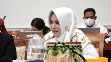 Anggota Komisi I DPR RI Sarifah Ainun Jariyah