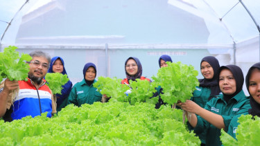 Pertamina wujudkan ketahanan pangan melalui program MAPAN