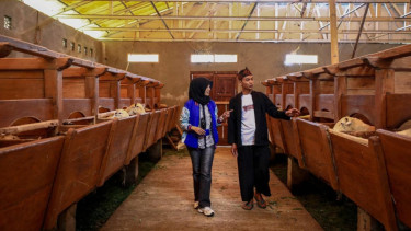 Nasabah KUR BRI berhasil naik kelas mencapai 574 ribu orang