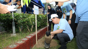 Ketua DPD RI Sultan Baktiar Najamudin menanam pohon kayu hitam
