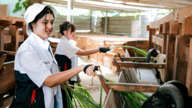 Employee Volunteering MIND ID