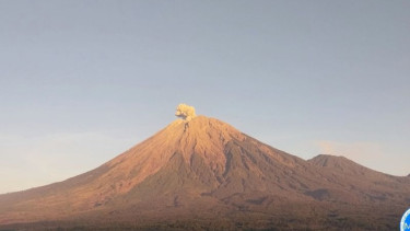 Gunung Semeru erupsi dengan letusan setinggi 700 meter di atas puncak