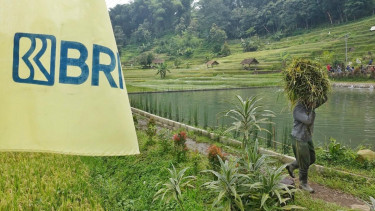 Peringati Hari Tani, BRI dukung sektor Pertanian