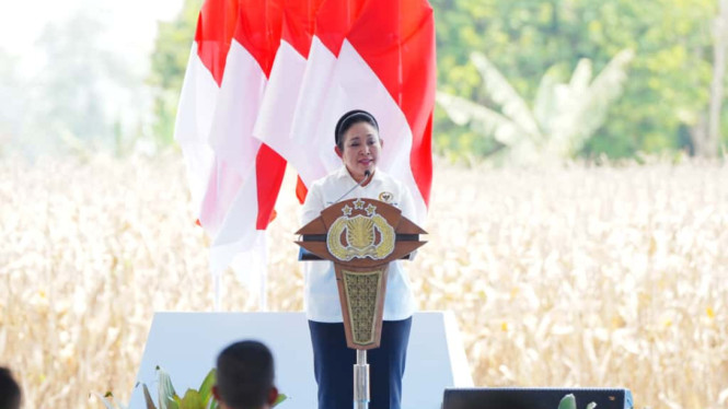 Ketua Komisi IV DPR RI, Titiek Soeharto 