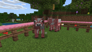 Update Minecraft Java Snapshot: Mob Baru Resmi Hadir