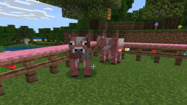 Mob Minecraft Java Edition