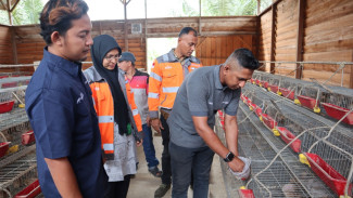 SIG Dorong Peningkatan Ekonomi Lokal Aceh, Olah Sampah Kelapa Jadi Pakan Ternak