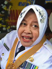 Ir. Tri Rismaharini, M.T