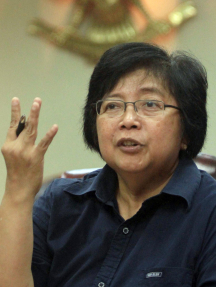 Dr. Ir. Siti Nurbaya Bakar, M.Sc.