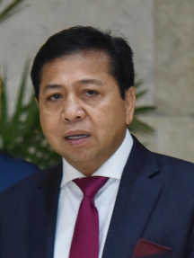 Setya Novanto